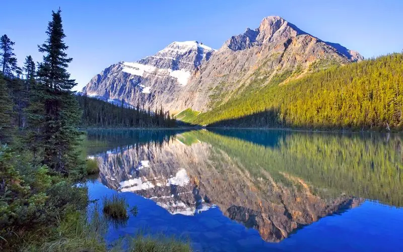 智能稳定性